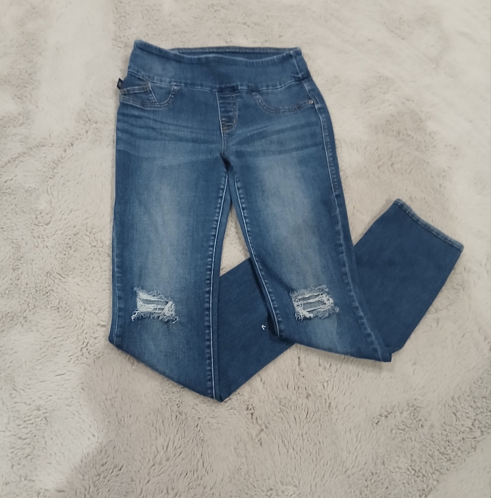 Rock & Republic Blue Distressed Skinny Jeans